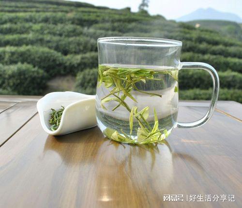 甜品与茶的完美搭配：下午茶时光的美好享受(图3)