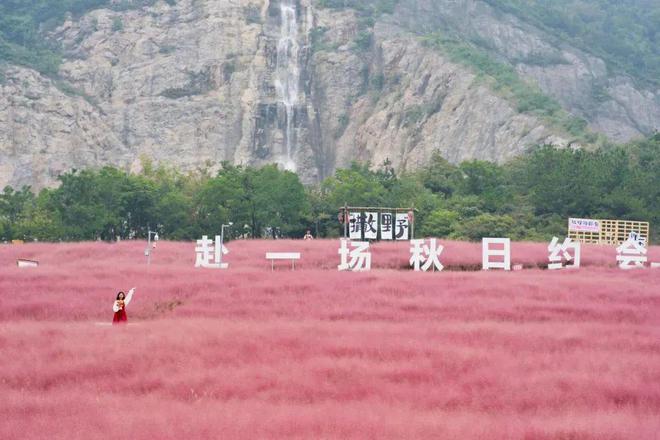 【探索】桂花黄、草海粉、栾树红、稻谷香……这些地方秋日大片已上线！(图4)