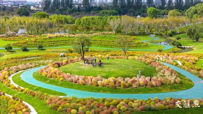 【探索】桂花黄、草海粉、栾树红、稻谷香……这些地方秋日大片已上线！(图7)