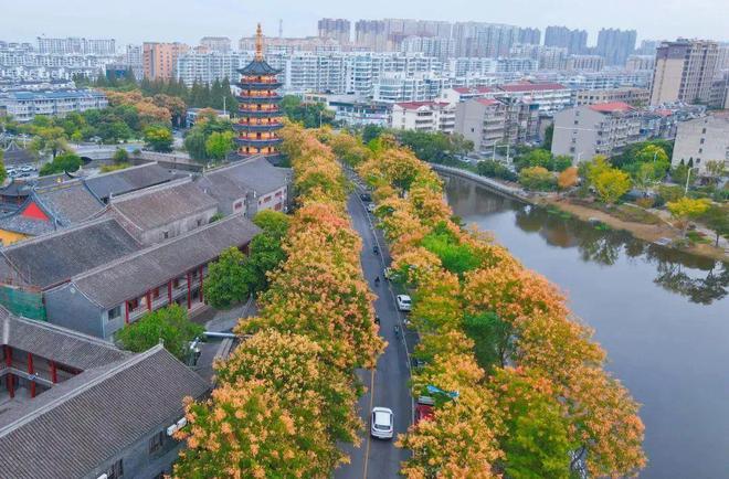 【探索】桂花黄、草海粉、栾树红、稻谷香……这些地方秋日大片已上线！(图9)